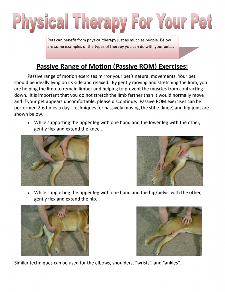 Physical Therapy Range Of Motion Franklin Animal Clinic Inc